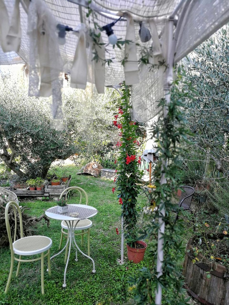 Roncofreddo Il Giardino Dei Frati Bed & Breakfast エクステリア 写真